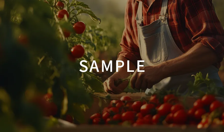 自 2026年2月1日 起，持台灣駕照全澳皆不能免試換照